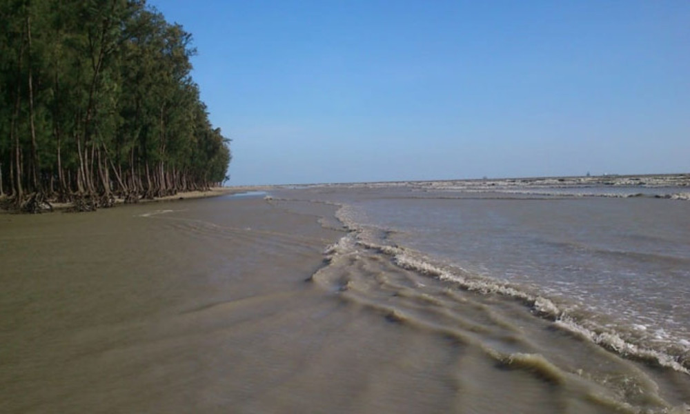ঘুরে আসতে পারেন সমুদ্র ও বনের ছায়ায় ঘেরা ভোলার তারুয়া দ্বীপে