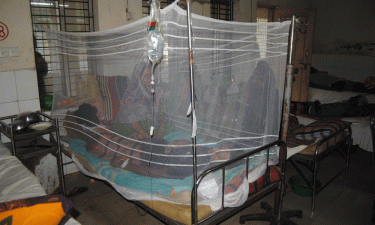 মশার উপদ্রবে অতিষ্ঠ গোয়ালন্দ পৌরবাসী
