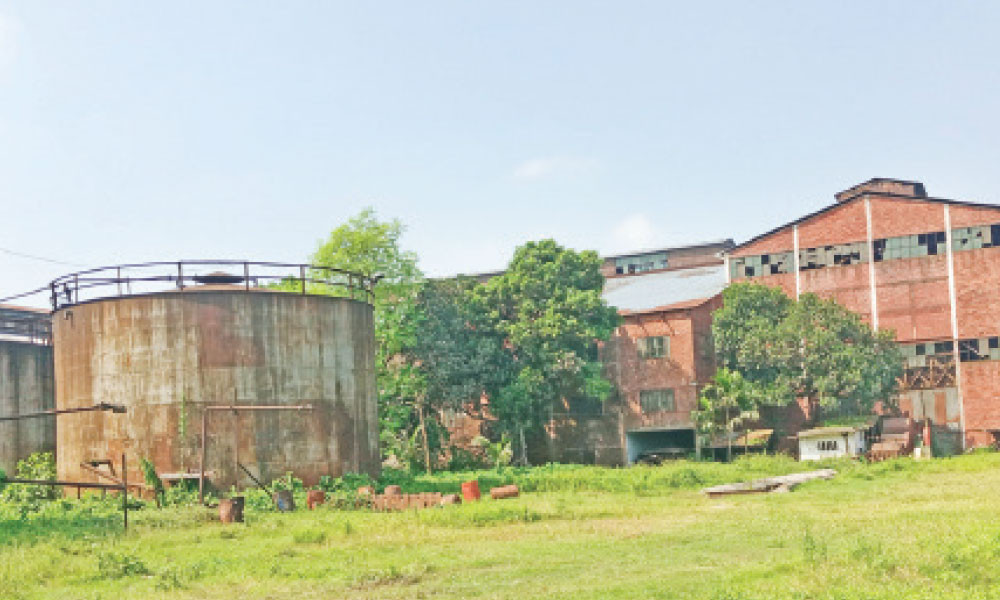 Jinsiy aloqa paytida chimchilash video