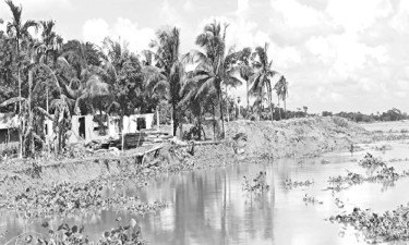 নদীভাঙনে পিঁপড়াখালীতে আতঙ্ক
