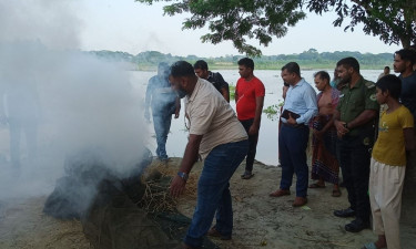 মোল্লাহাটে নিষিদ্ধ চায়না দুয়ারি জাল জব্দের পর আগুনে পুড়িয়ে ধ্বংস