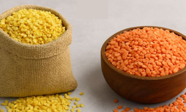 রং দেওয়া মট বাজারে হচ্ছে মুগ ডাল