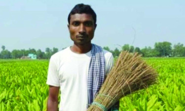 সত্তরোর্ধ্ব নারীকে ধর্ষণের অভিযোগে মামলা, প্রধান আসামি গ্রেপ্তার
