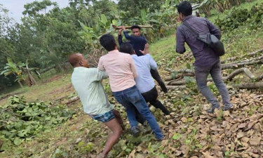 বনদস্যুদের হামলায় আহত ৩ সাংবাদিক, বাবা-ছেলেসহ আটক ৩