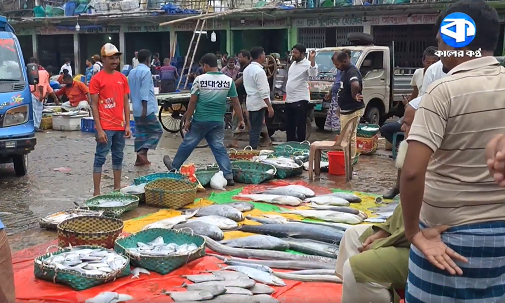 সামুদ্রিক মাছে ভরপুর আড়ত, দামে স্বস্তি