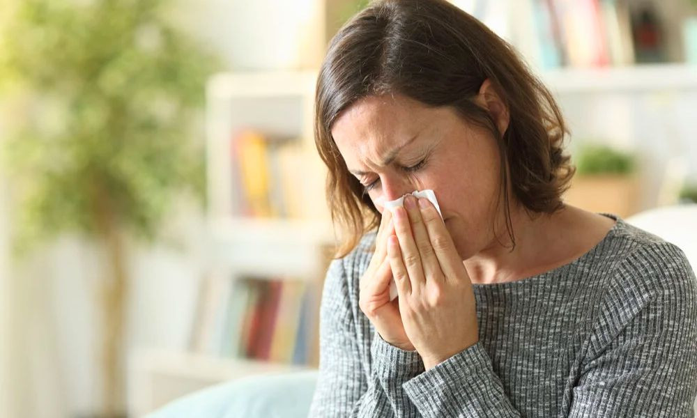 Mushuk pornosidagi ulkan obektlar