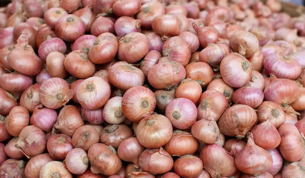 এক সপ্তাহে পেঁয়াজের দাম ৫০% বেড়েছে