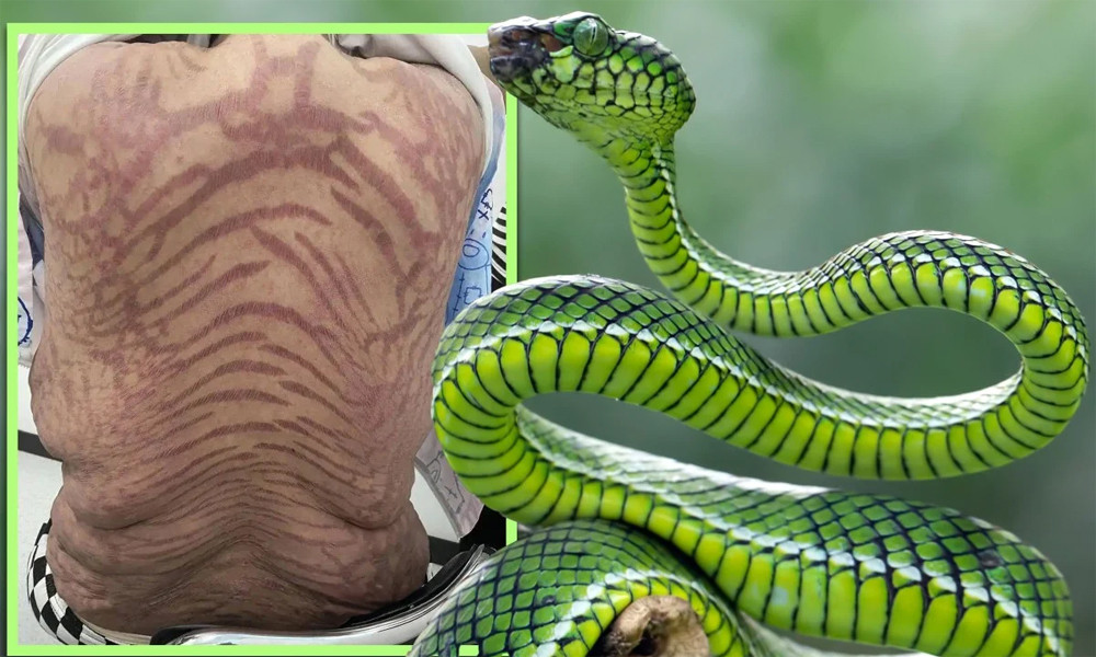 Gayrioddiy burchakdan olingan fotosurat Paypoq ichida porno rus xizmatchi