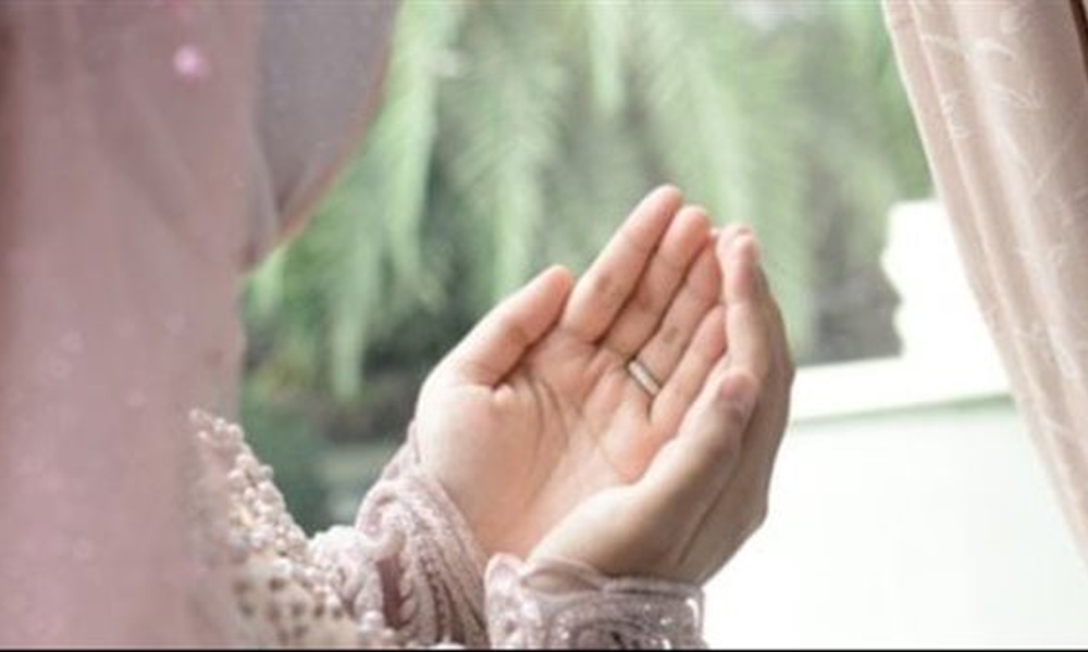 Jinsiy multfilmlar vnx