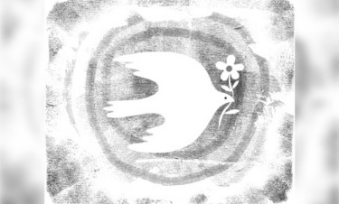 উজ্জ্বল আলো অন্ধকার দূর করেনি