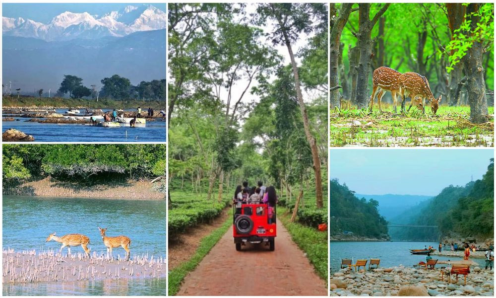 শীতের শুরুতে বেড়াতে যেতে পারেন যেসব জায়গায়