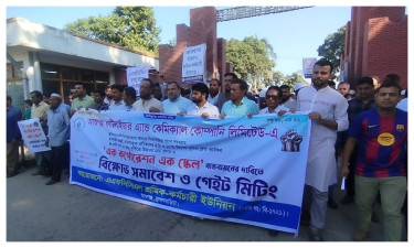 এক পে-স্কেল বাস্তবায়নসহ ৩ দাবিতে আশুগঞ্জ সার কারখানার শ্রমিক-কর্মচারীদের বিক্ষোভ