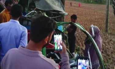 নীলফামারীতে অটোরিকশায় ট্রাকের ধাক্কা, প্রাণ গেল দম্পতির