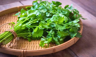 শীতে ধনেপাতা দীর্ঘক্ষণ তাজা রাখবেন যেভাবে