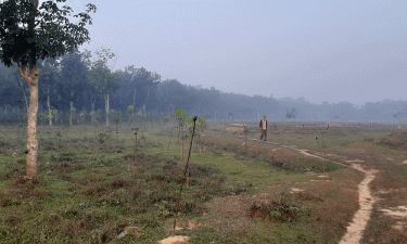 তীব্র শীতে কাঁপছে শ্রীমঙ্গলের মানুষ