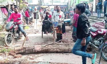 নাটোরে সারের দাবিতে সড়ক অবরোধ করে বিক্ষোভ, কৃষি অফিস ঘেরাও