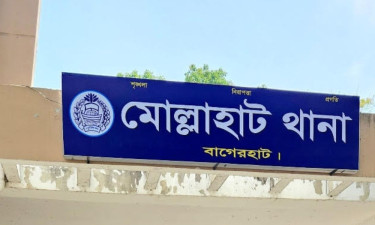 মোল্লাহাটে কাভার্ড ভ্যানের চাপায় ইটভাটা শ্রমিকের মৃত্যু