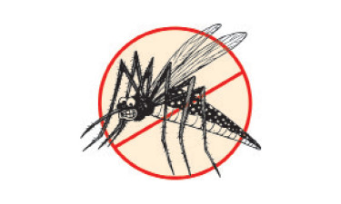 ডেঙ্গু রোগী লাখ ছুঁই ছুঁই