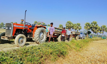 ম্যাজিস্ট্রেট দেখে পালাল মাটিখেকোরা