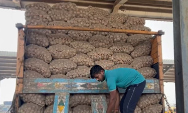 ভারত থেকে পেঁয়াজ আমদানি শুরু