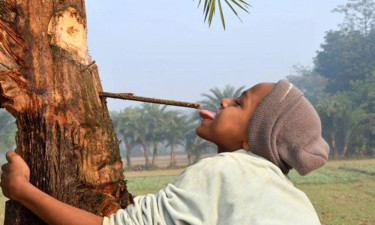 খেজুরের রস কিভাবে খেলে মিলবে উপকার