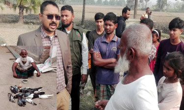 সরিষার বীজে বিষ মিশিয়ে শতাধিক পাখি হত্যা