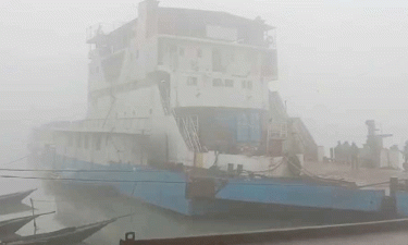 দৌলতদিয়া-পাটুরিয়া নৌ রুটে ফেরি চলাচল বন্ধ