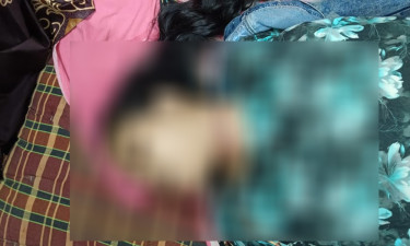 মির্জাগঞ্জে শ্বশুরবাড়িতে এসে স্ত্রীকে হত্যার অভিযোগ, পলাতক স্বামী