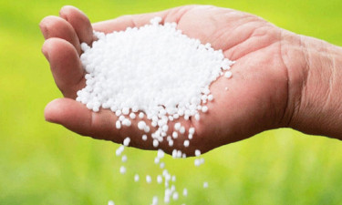 হাওরে সার সংকট, ফসল উৎপাদনে প্রভাব পড়ার আশঙ্কা