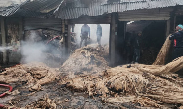 আগুনে পুড়ে ছাই প্রায় ২৬ মণ পাট, ব্যবসায়ীরা সর্বস্বান্ত
