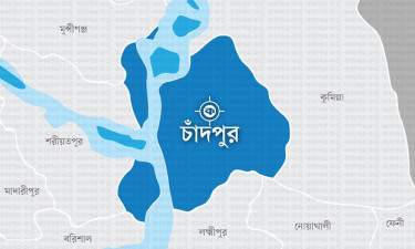 চাঁদপুরে গাছচাপায় শ্রমিকের মৃত্যু