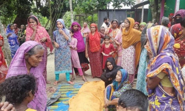 চাটখিলে পিকআপ ভ্যানচাপায় প্রাণ গেল নারীর