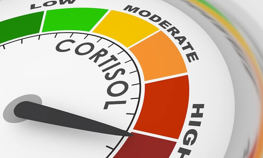 কর্টিসল কী? স্ট্রেস হরমোন নিয়ে যা জানা জরুরি