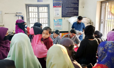 কুলাউড়ায় পাগলা কুকুরের কামড়ে শিশু-কিশোরসহ আহত ৪৯