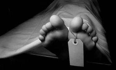 নালিতাবাড়ীতে ট্রাকচাপায় অটোরিকশার চালকসহ নিহত ২