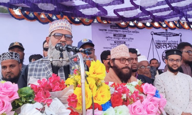 ভাণ্ডারিয়ায় দাঁড়িপাল্লা প্রতীকের শেষ নির্বাচনী জনসভা