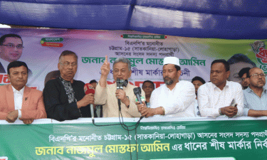 গণতন্ত্রের জন্যই বিএনপির জন্ম : আমীর খসরু