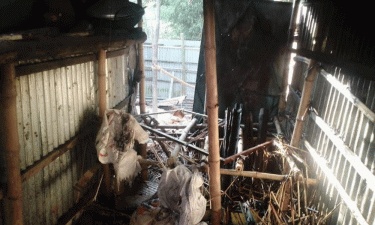 কুষ্টিয়ায় জামায়াত নেতার বাড়িতে আগুন দিল দুর্বৃত্তরা