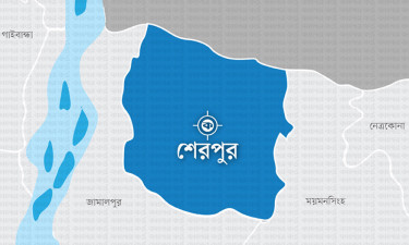১১৫ কেন্দ্রে এগিয়ে জামায়াতের প্রার্থী