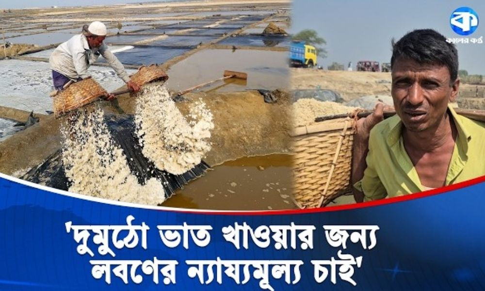 লবণ চাষে লোকসানের ভার, ন্যায্য দাম বাস্তবায়নের দাবি