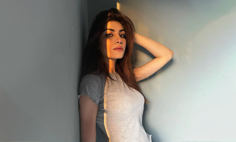 প্রাক্তন স্বামীর বিরুদ্ধে নির্যাতনের অভিযোগ মডেলের