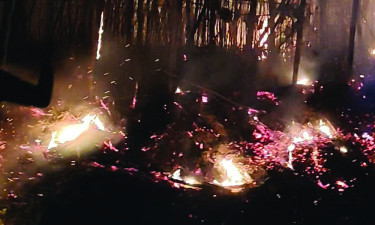 দুর্গাপুরে রাতের আঁধারে দুই পান বরজে আগুন