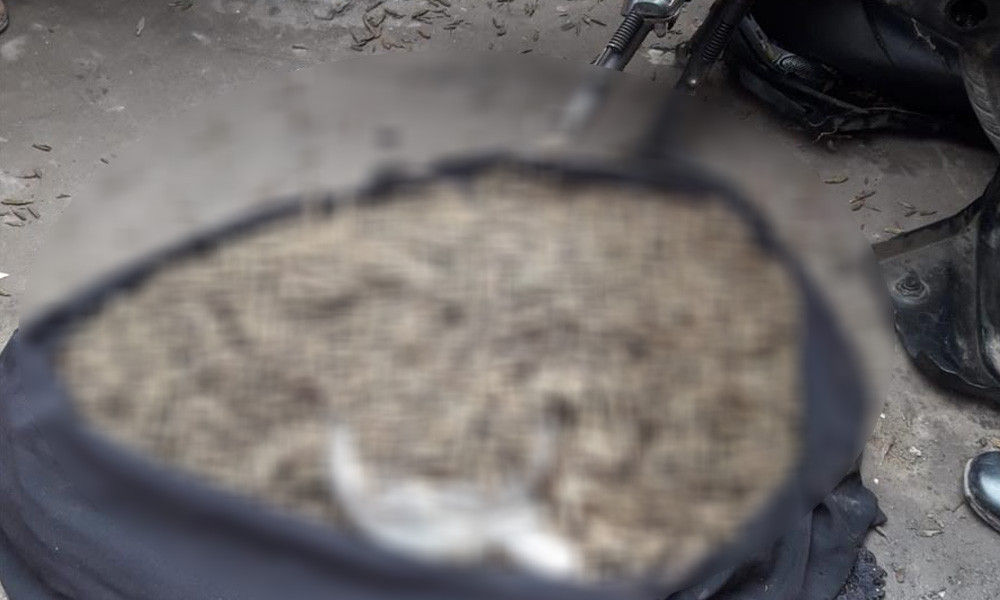 গাইবান্ধায় বিপুল পরিমাণ গাঁজাসহ মোটরসাইকেল আটক