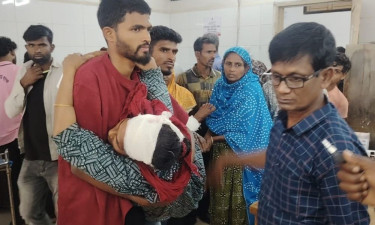 লোহাগড়ায় দুই পক্ষের সংঘর্ষে ইউপি সদস্যসহ আহত ১৫