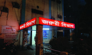 জমি নিয়ে বিরোধ, ছোট ভাইয়ের হাতে বড় ভাই খুন
