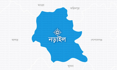 নড়াইলে ট্রলি উল্টে চালক নিহত