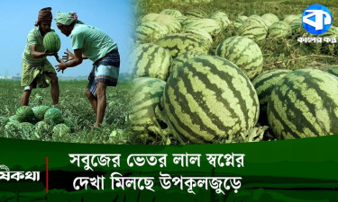 উপকূলে তরমুজের বাম্পার ফলন, বাণিজ্যে হাজার কোটি টাকার সম্ভাবনা