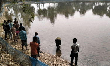 পুকুরে বিষ দিয়ে মাছের রেণু নিধনের অভিযোগ