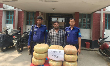 শিবালয়ে বিপুল পরিমাণ গাঁজাসহ মাদক ব্যবসায়ী গ্রেপ্তার