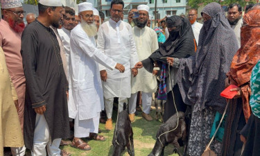 কেশবপুরে হতদরিদ্র নারীদের মাঝে ছাগল বিতরণ